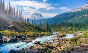Nature 2
